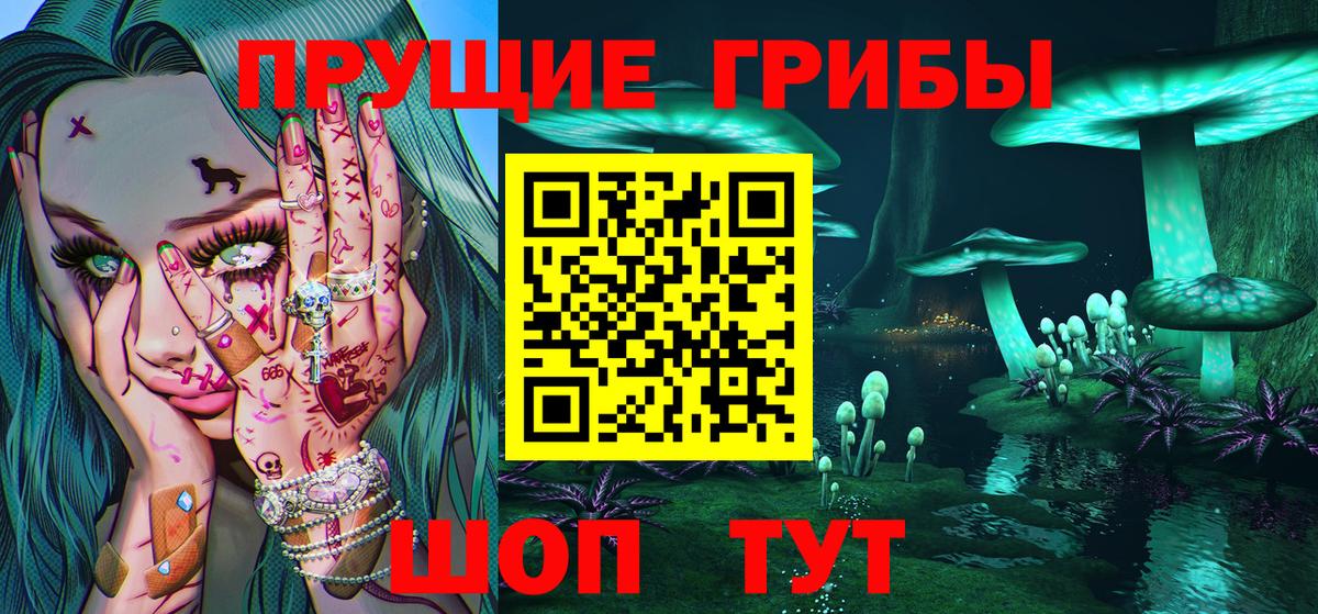 Псилоцибиновые грибы Psilocybine cubensis Пенза